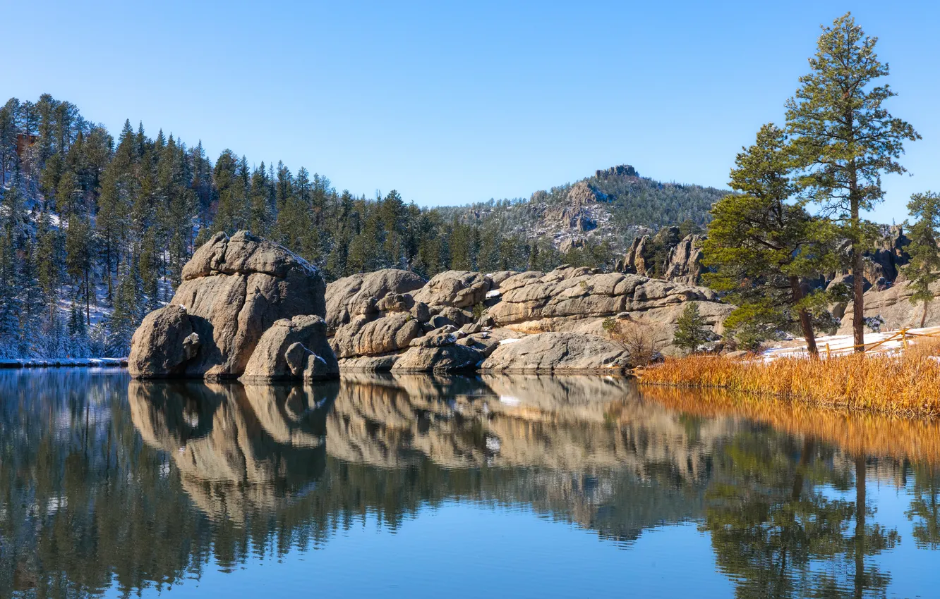 Photo wallpaper forest, mountains, lake, rocks, USA