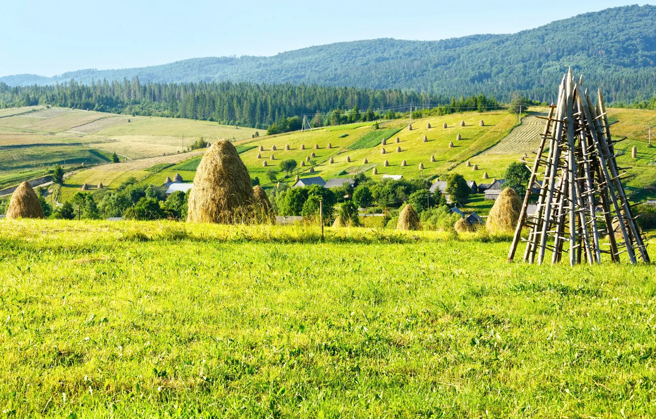 Photo wallpaper field, forest, mountains, nature, stack, hay, Ukraine, Carpathians