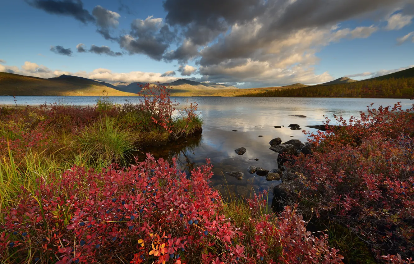 Photo wallpaper autumn, landscape, mountains, shore, foliage, red, pond, shrubs