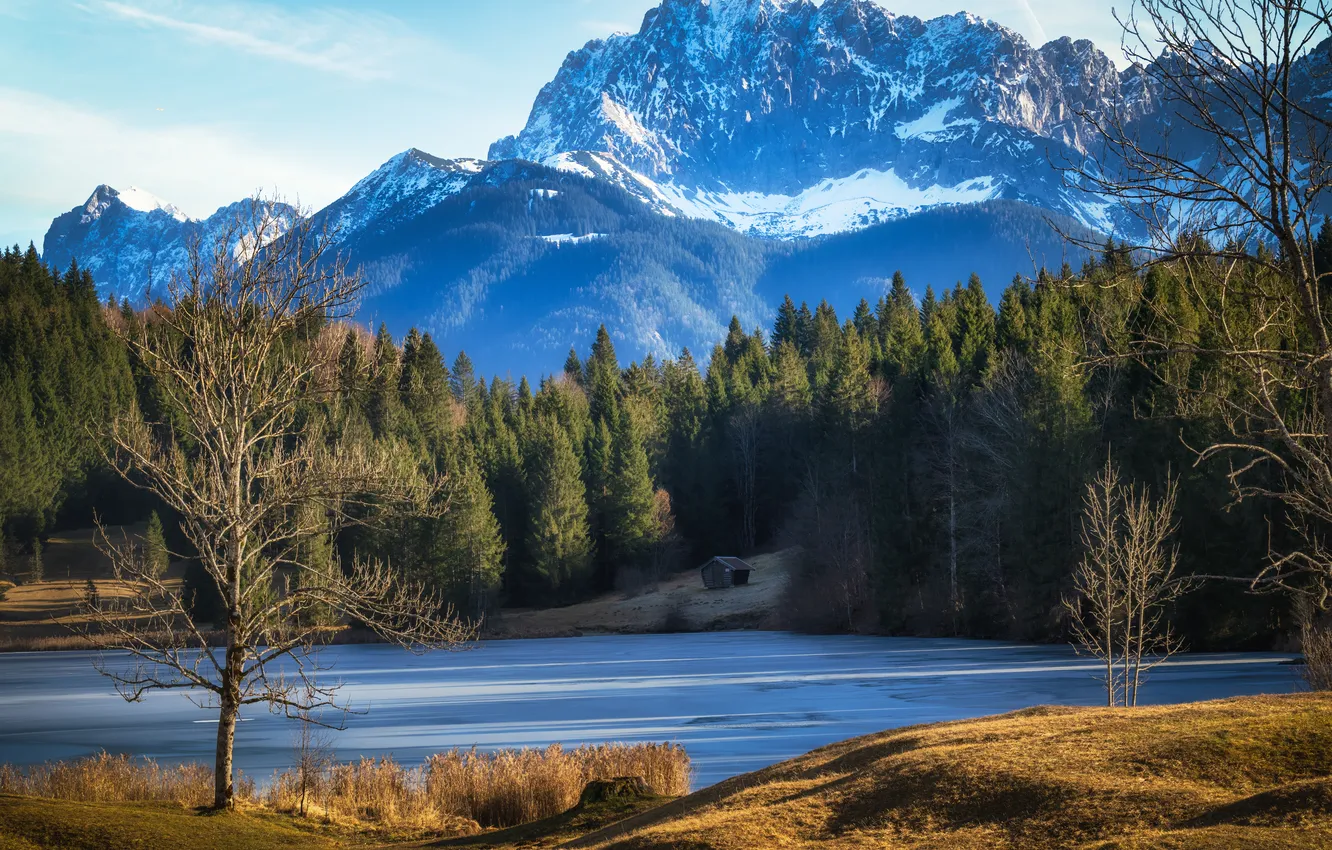 Photo wallpaper forest, mountains, solitude, cabin