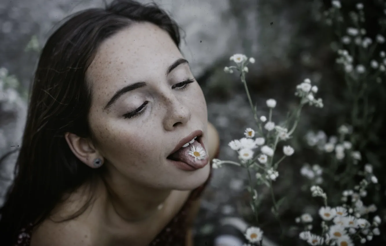 Photo wallpaper girl, portrait, chamomile