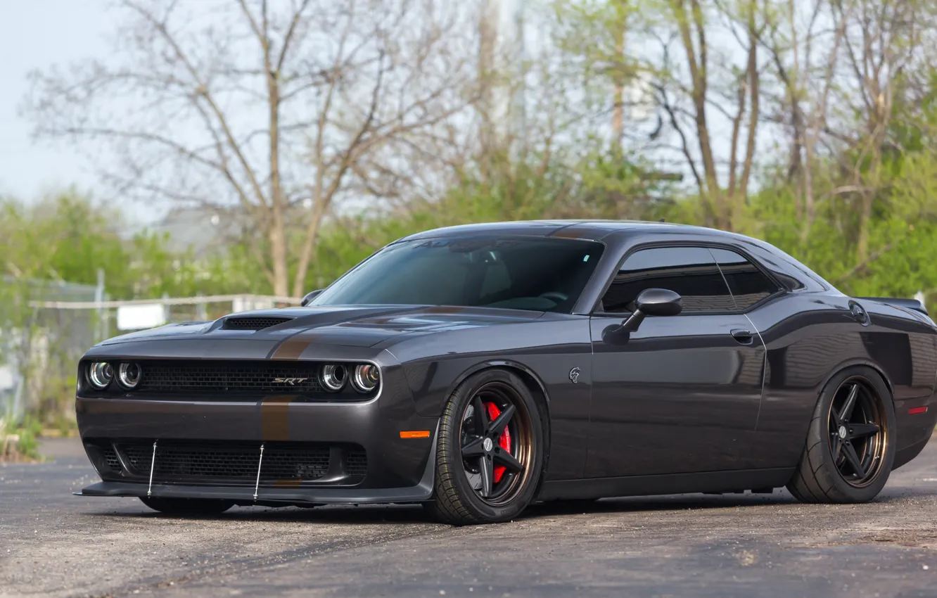 Photo wallpaper auto, dodge, challenger, art, hellcat