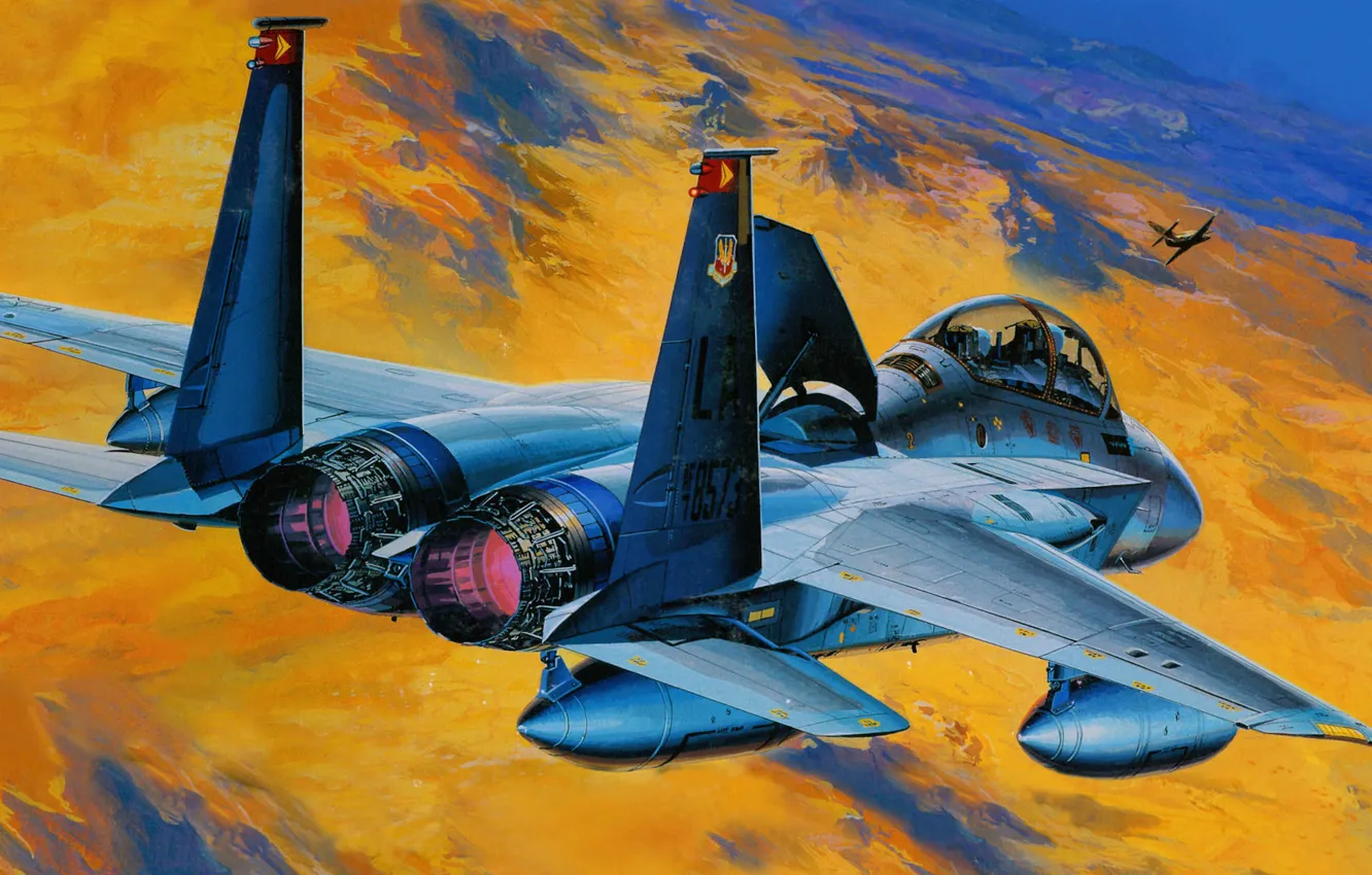 Photo wallpaper figure, art, Eagle, UNITED STATES AIR FORCE, McDonnell Douglas, Double training option, F-15D