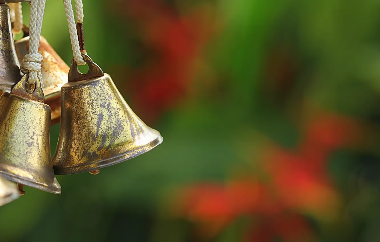 Photo wallpaper macro, background, bells