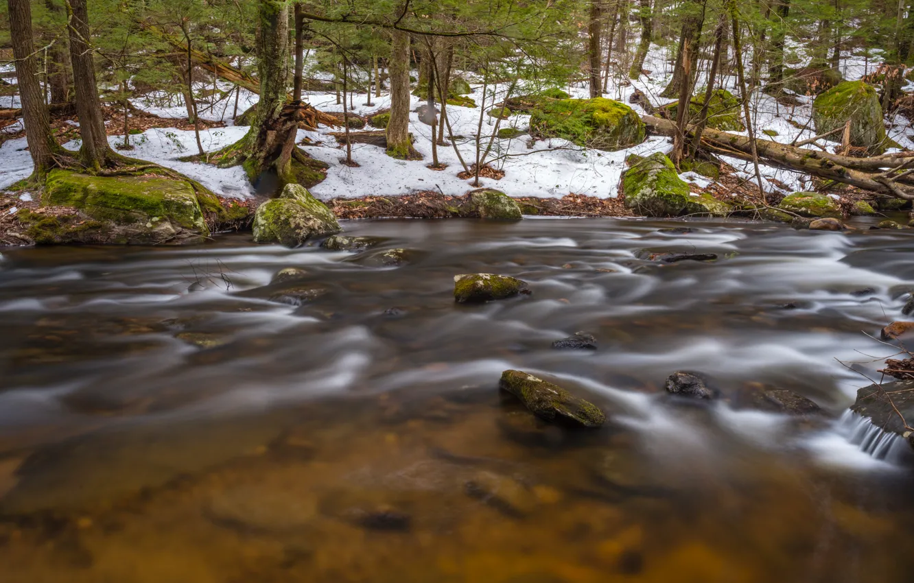 Photo wallpaper forest, snow, river, stream, spring