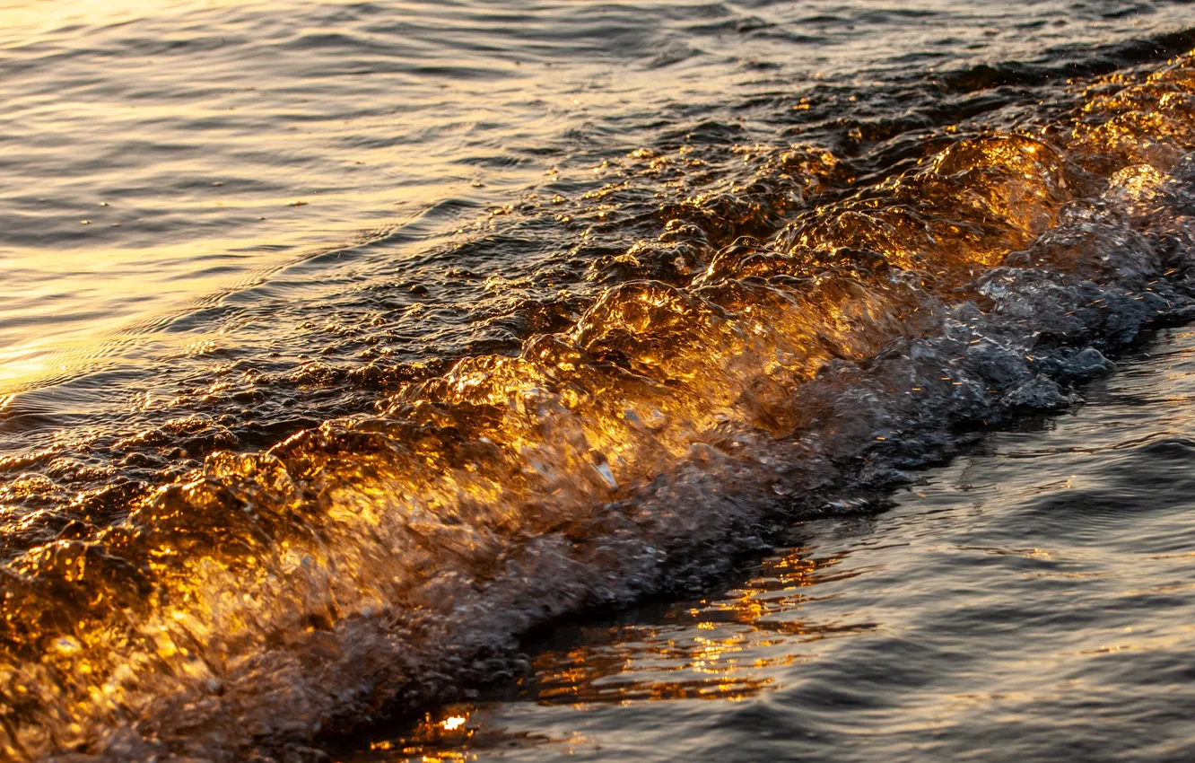 Photo wallpaper sea, wave, nature, surf