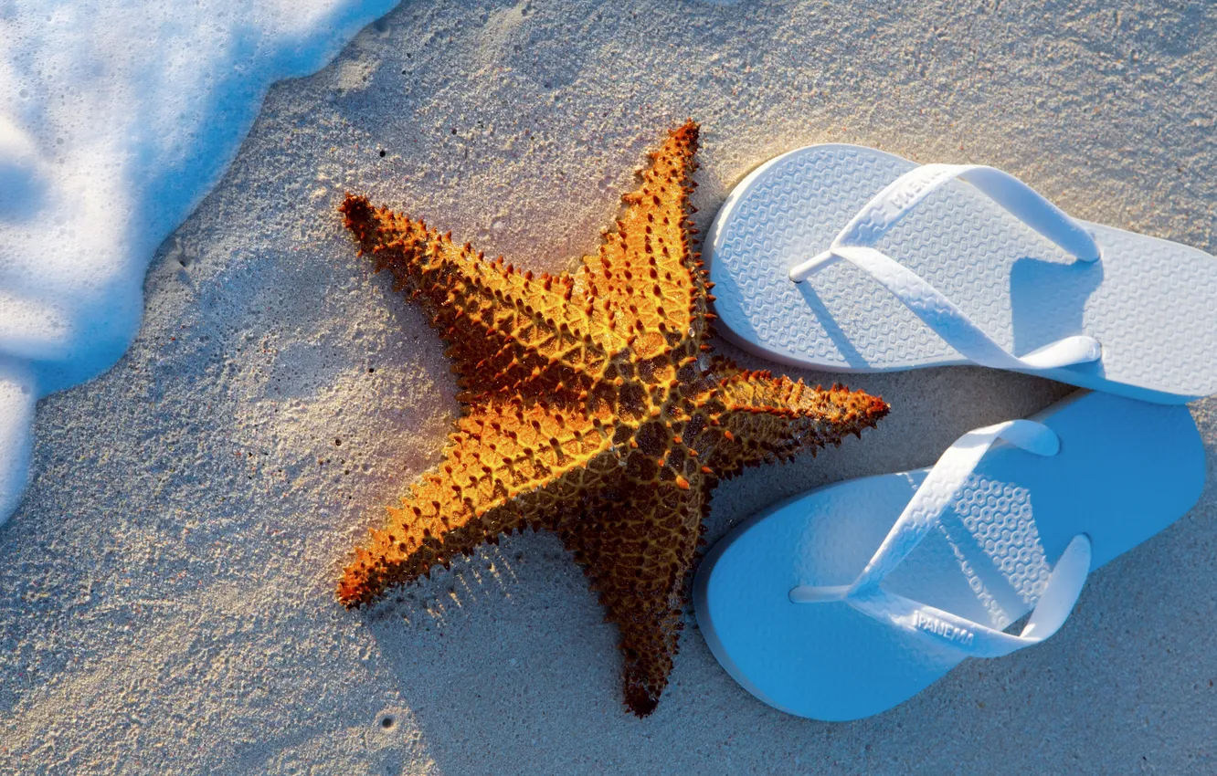 Photo wallpaper summer, beach, sea, sand, vacation, starfish, step-ins