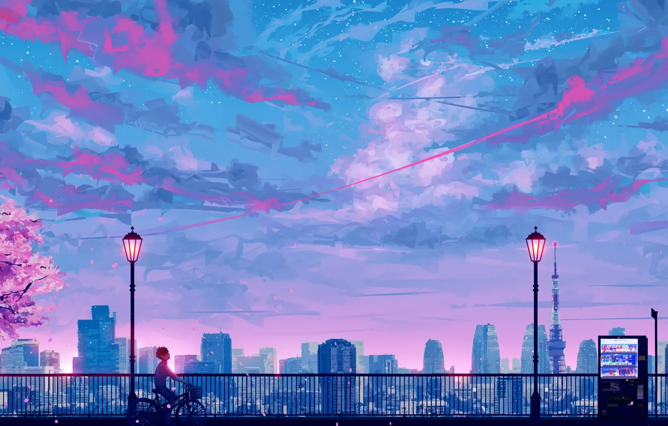 Photo wallpaper the sky, sunset, bike, Sakura, guy, stop, by SeerLight