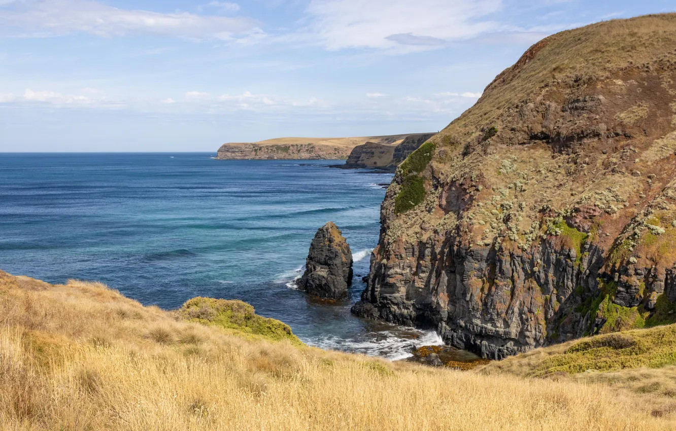 Photo wallpaper field, sea, landscape, coast, nature, Australia, cliff