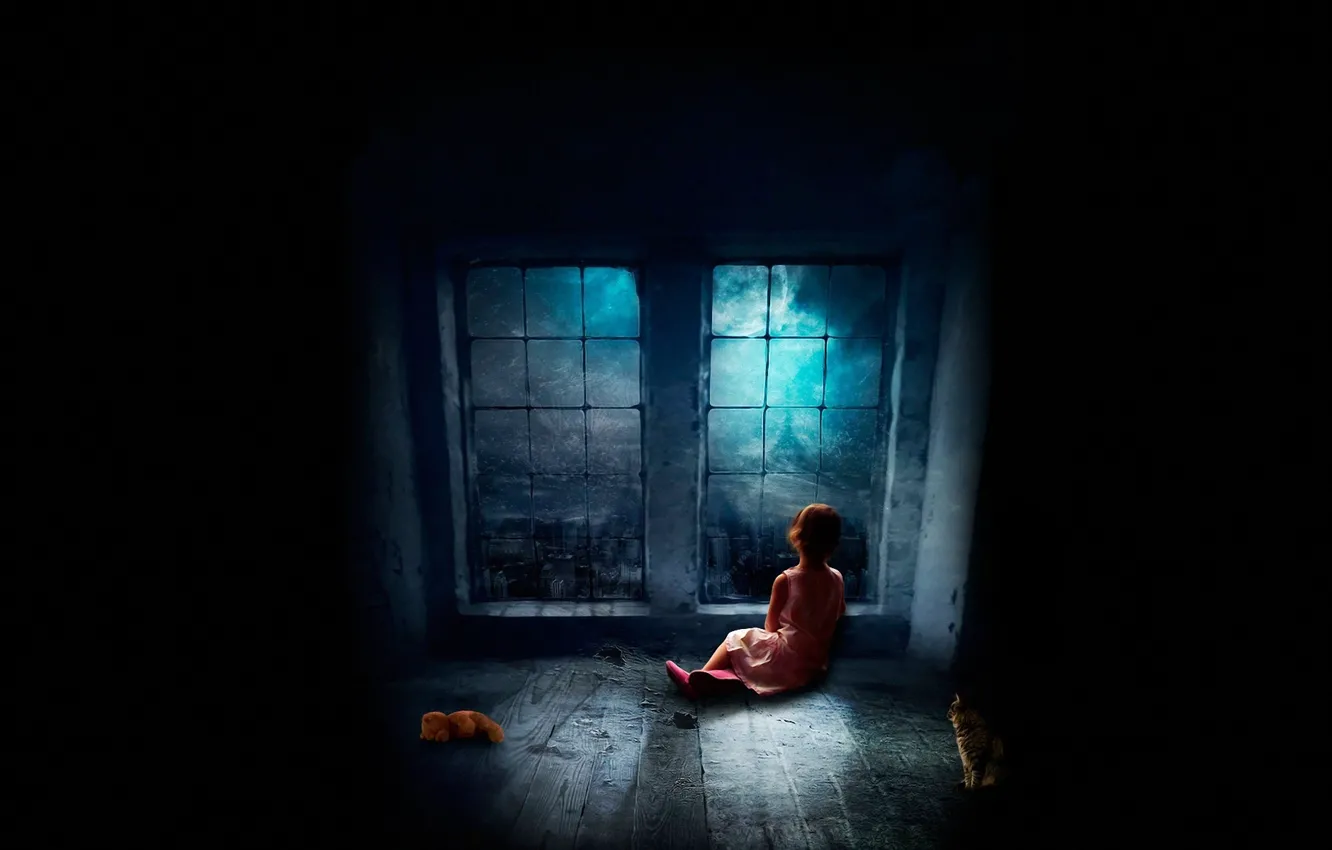 Photo wallpaper cat, night, darkness, window, girl, floor, sitting, on the floor