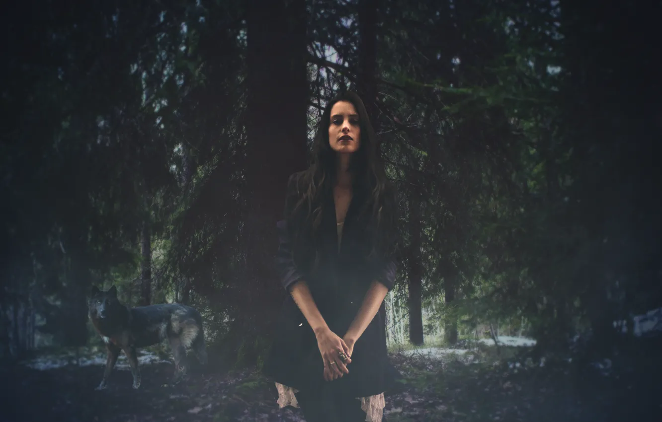 Photo wallpaper forest, girl, night, midnight