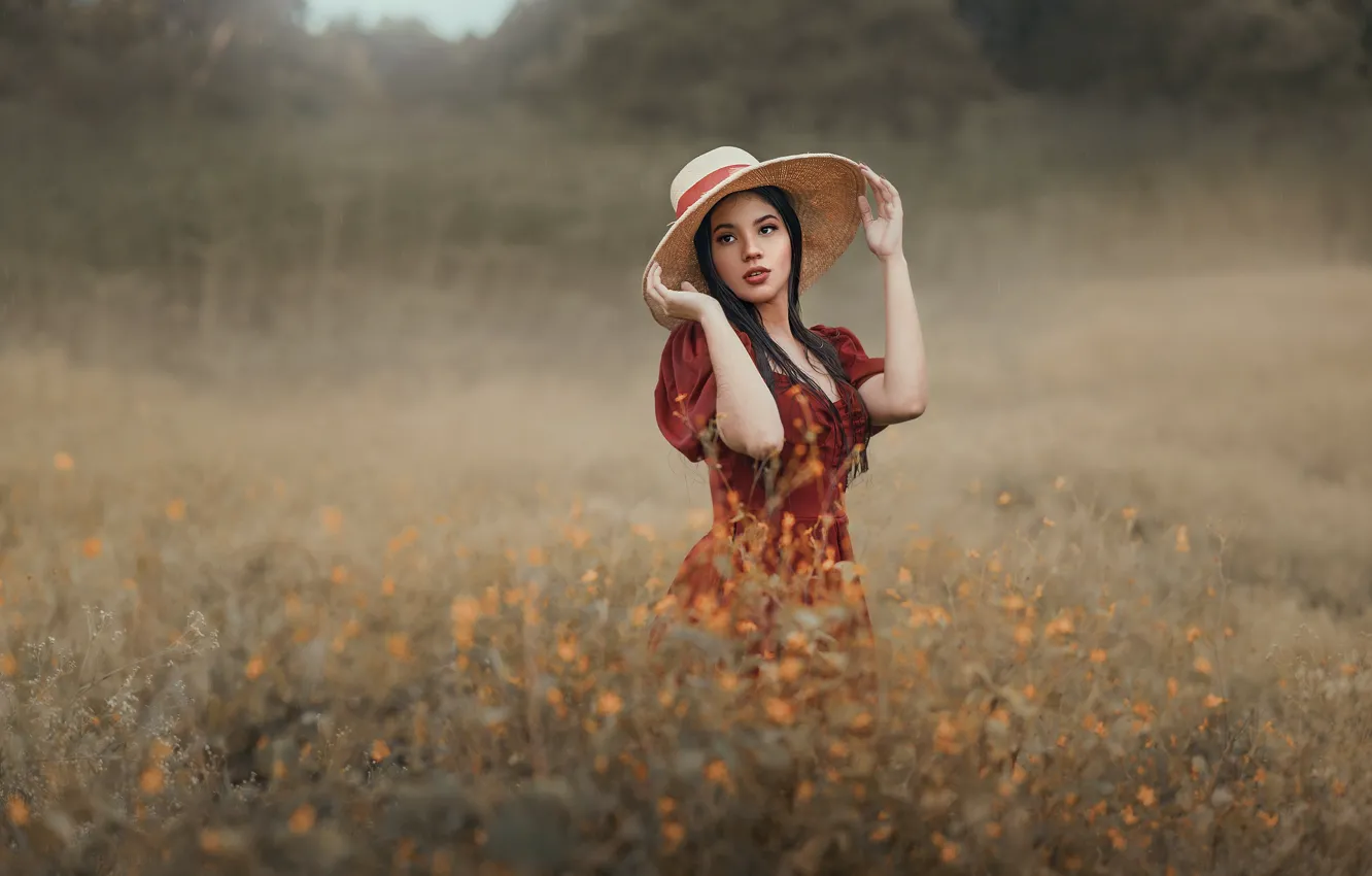 Photo wallpaper girl, pose, hat, dress, meadow