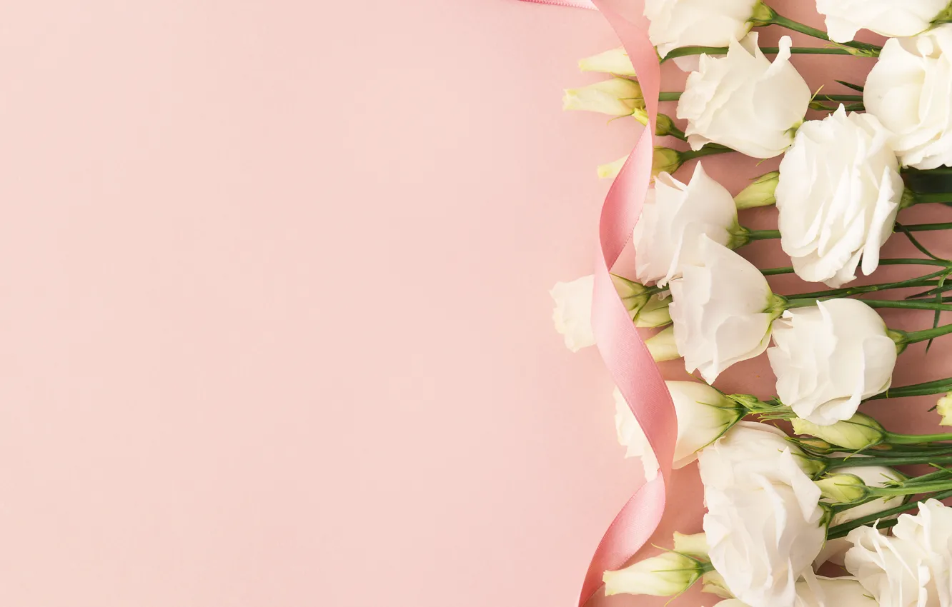 Photo wallpaper flowers, tape, composition, eustoma