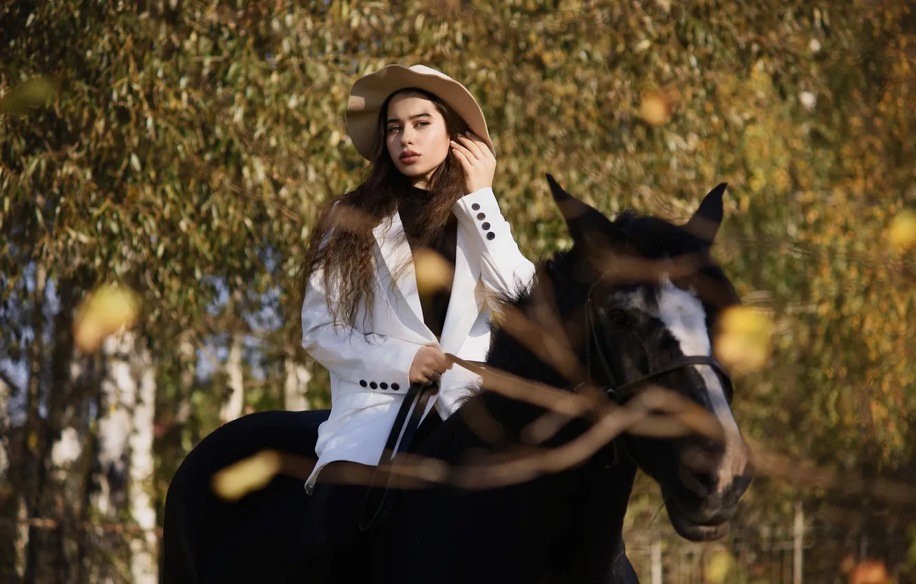 Photo wallpaper girl, horse, top, Maxim Mikhailov