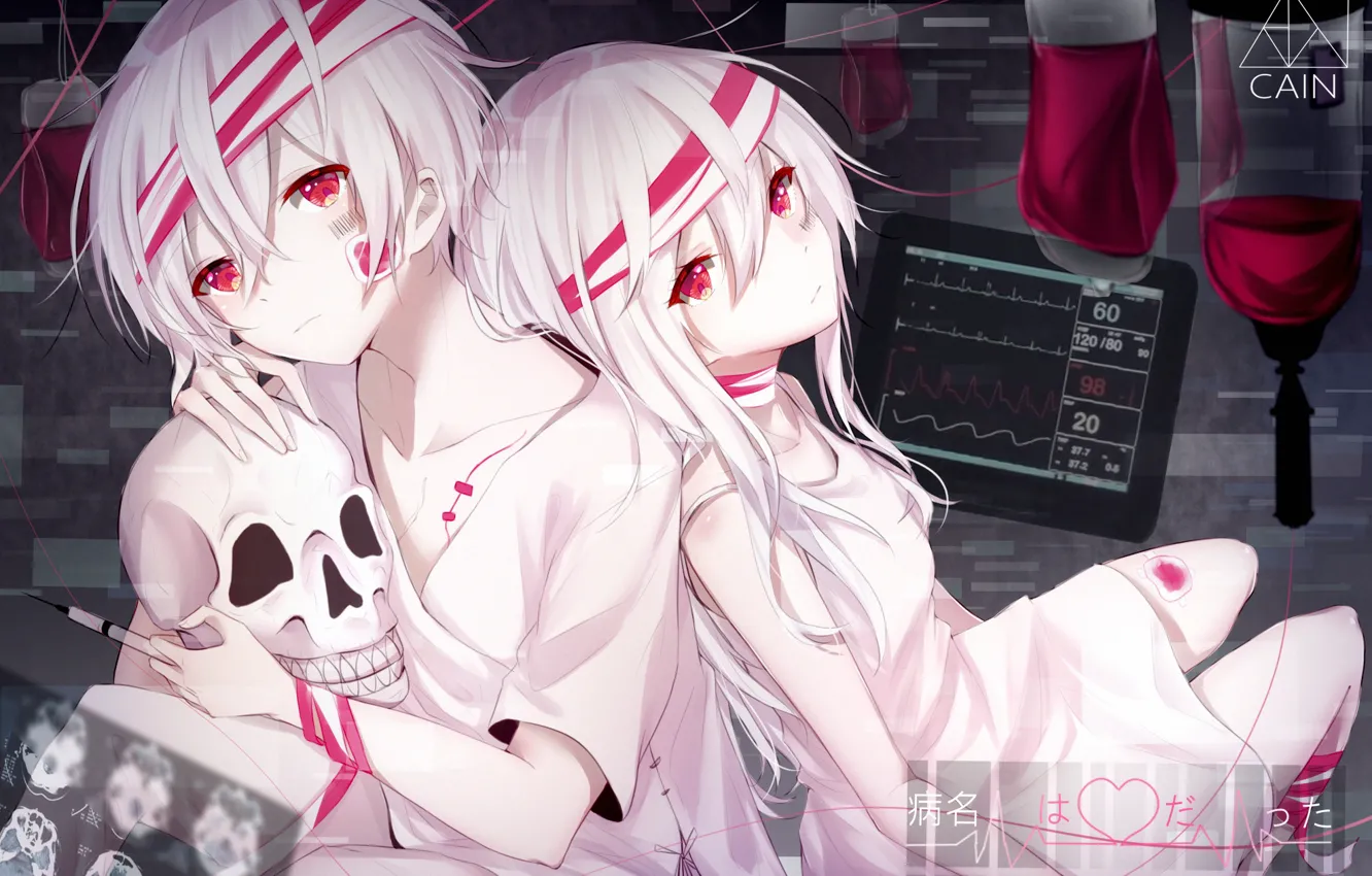 Photo wallpaper girl, skull, art, guy, laboratory, Nico Nico Singer