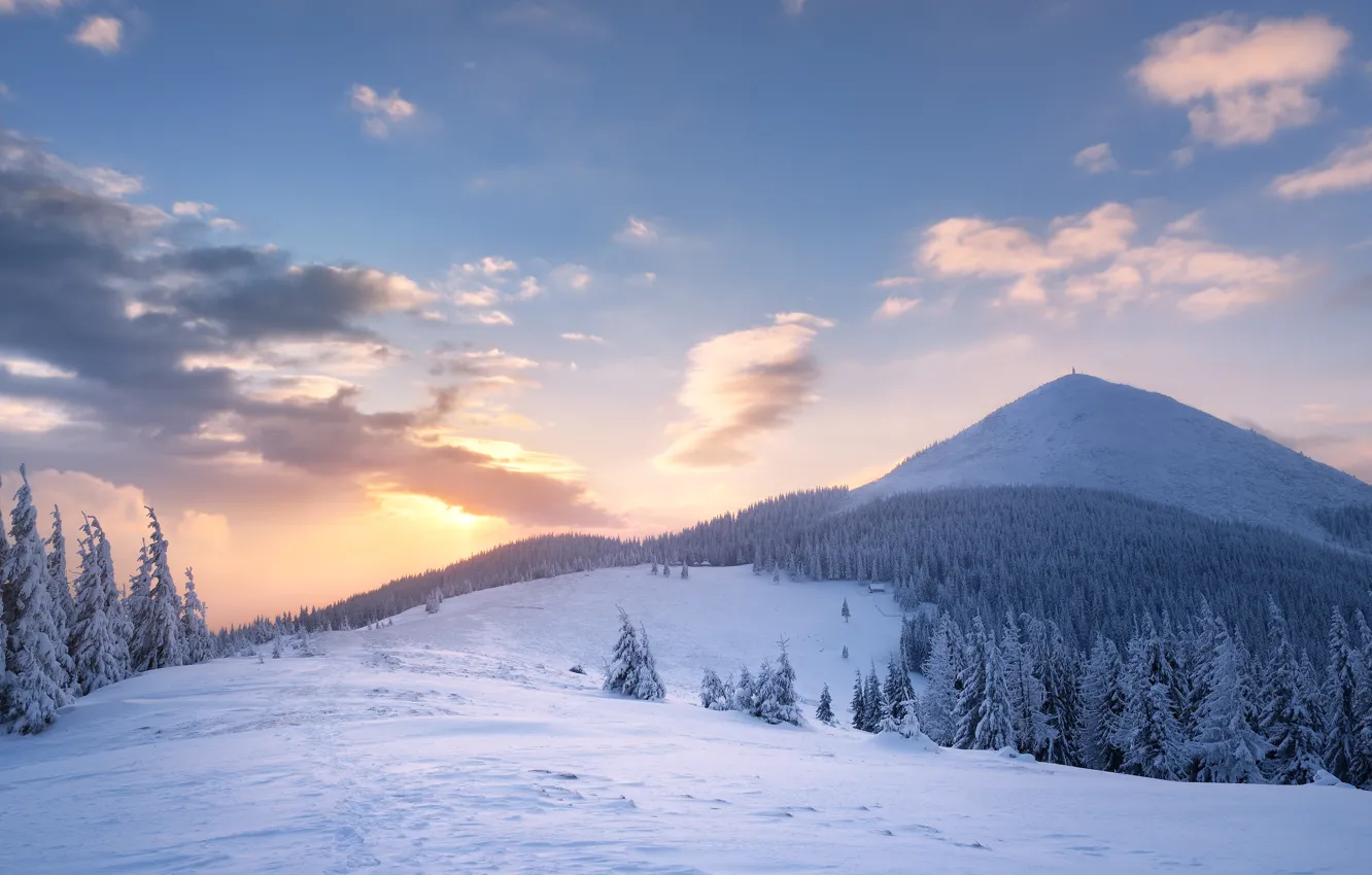 Photo wallpaper winter, forest, the sky, clouds, rays, snow, landscape, mountains
