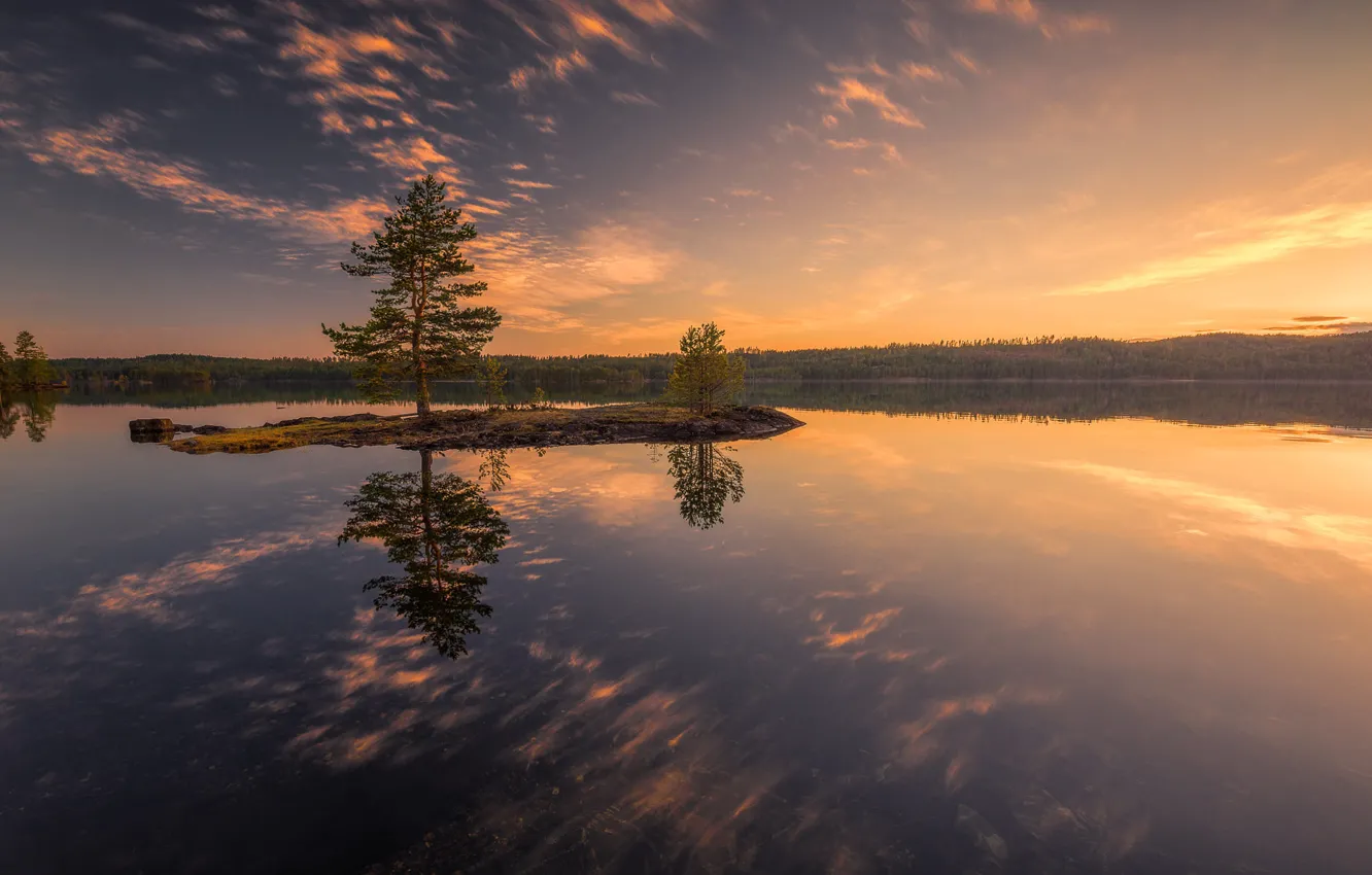 Photo wallpaper forest, sunset, lake, Norway, Norway, Ringerike