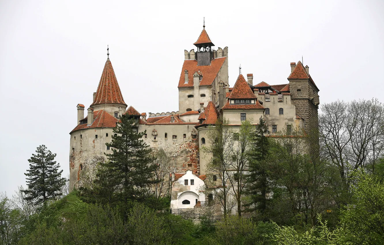 Photo wallpaper trees, the city, photo, castle, Romania, Bran Castle