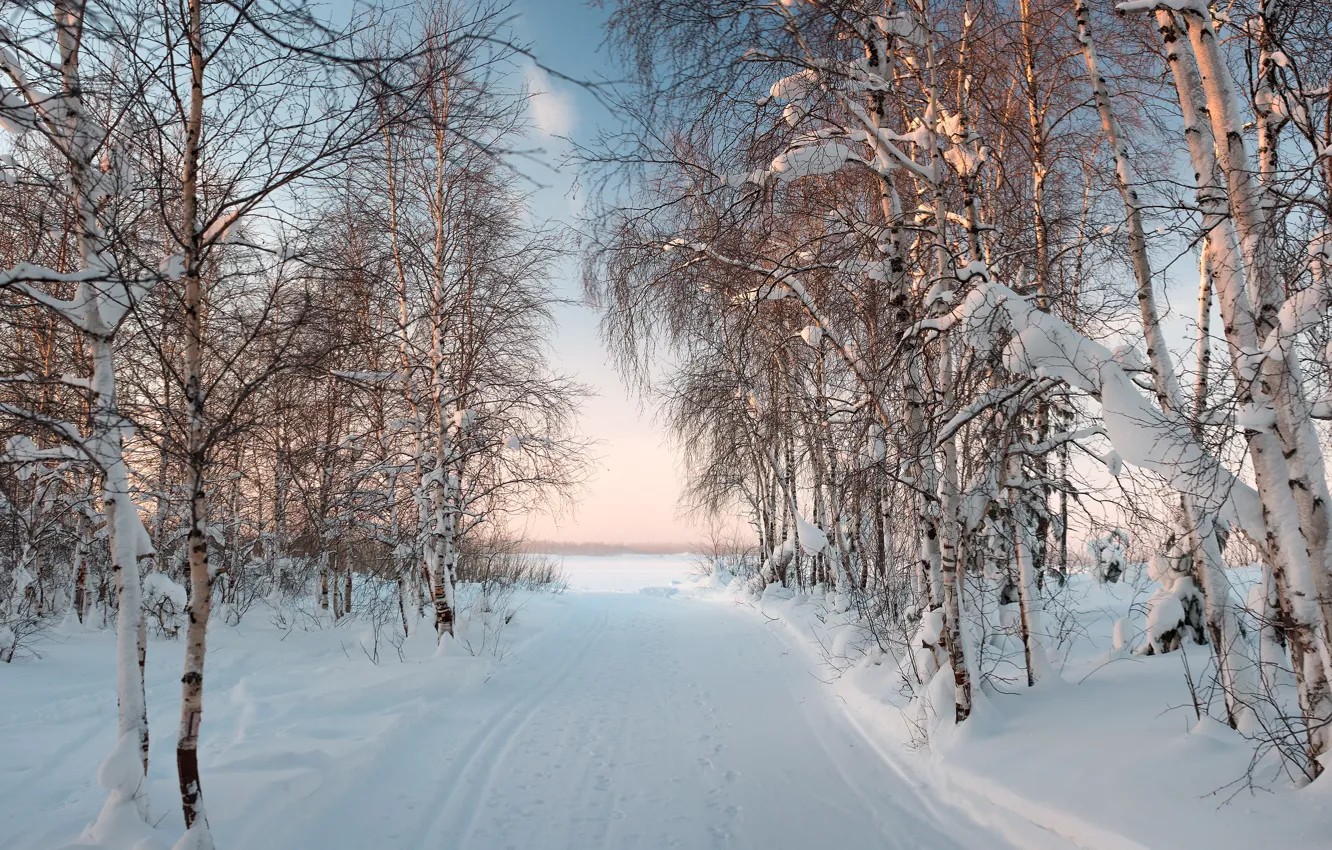 Photo wallpaper winter, the sun, landscape, the evening, frost