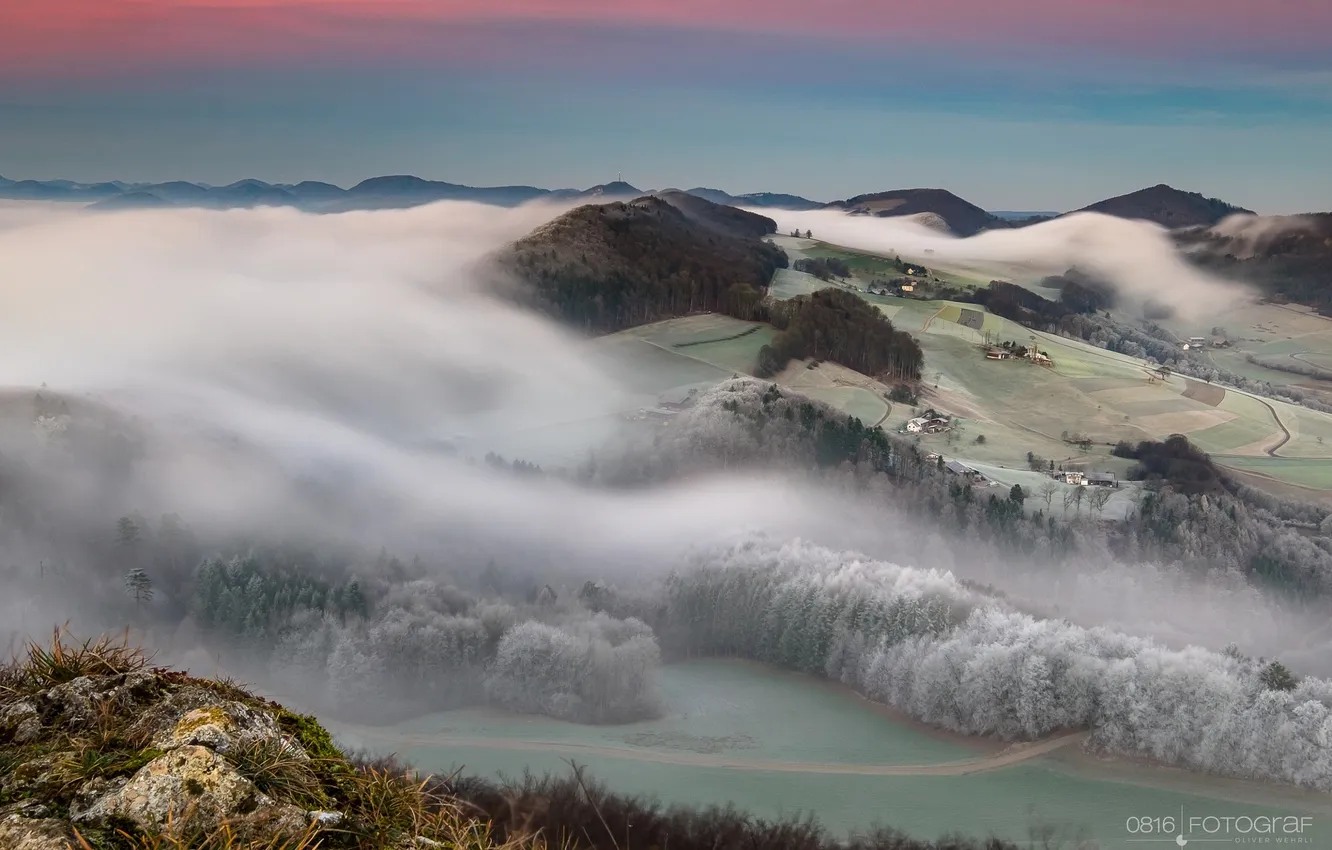 Photo wallpaper forest, fog, hills, morning