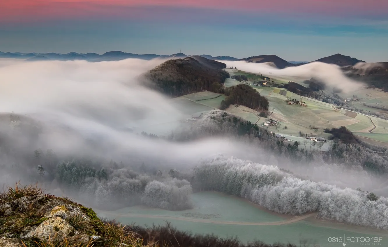Photo wallpaper fog, hills, morning, forest
