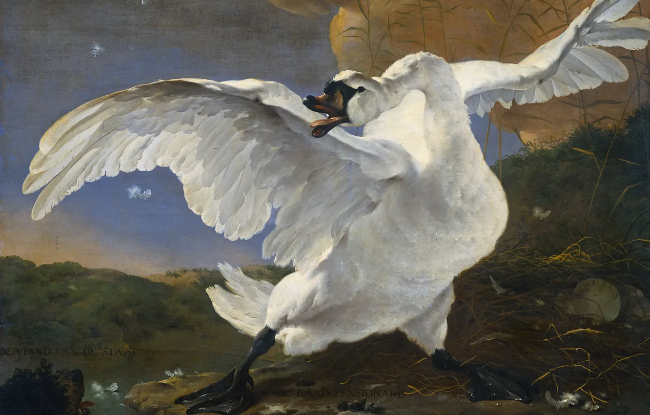 Photo wallpaper bird, oil, picture, canvas, Yan Asselin, Swan is in Danger, Jan Asselijn, 1652
