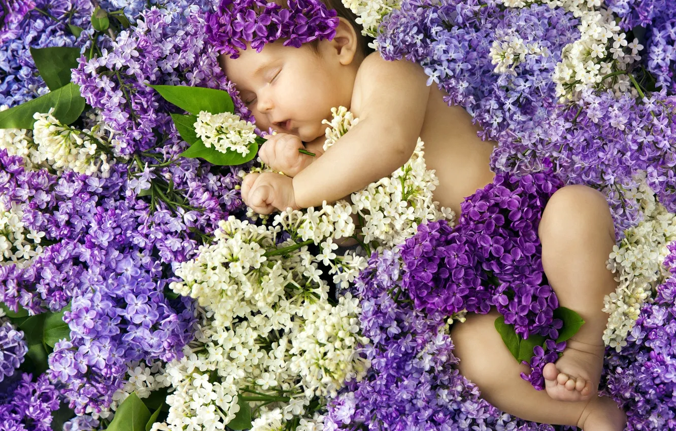 Photo wallpaper baby, sleeping, lilac