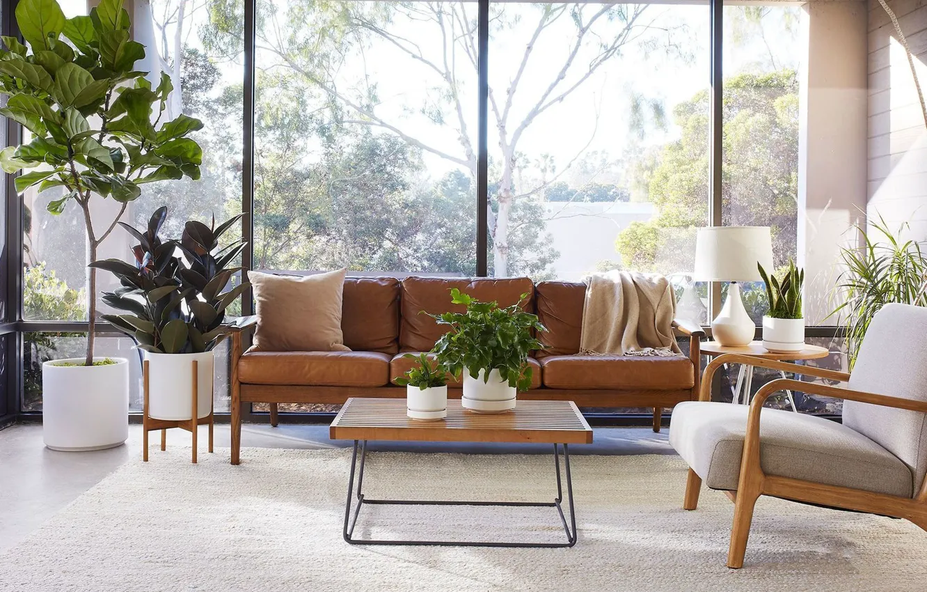 Photo wallpaper design, style, plant, interior, chair, sofa, living room, Mid-century Modern style in interior