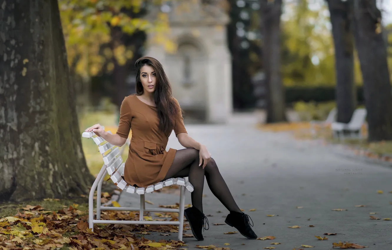 Photo wallpaper autumn, look, girl, bench, pose, Park, hair, dress