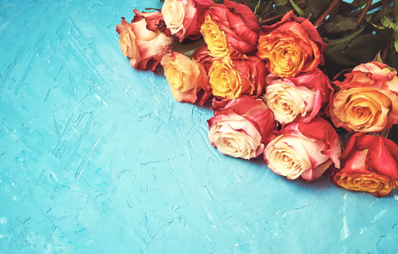 Photo wallpaper roses, bouquet, buds, blue background