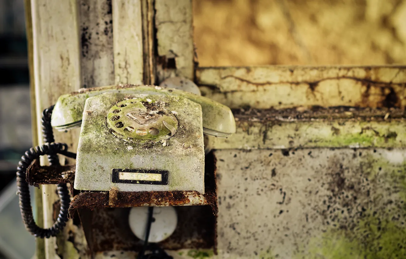 Photo wallpaper macro, background, phone