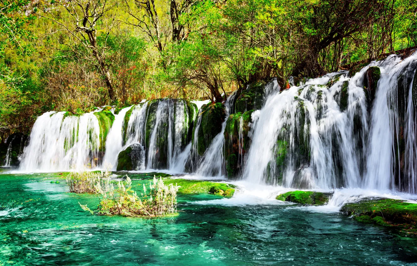 Photo wallpaper greens, trees, Park, waterfall, moss, China, the bushes, reserve