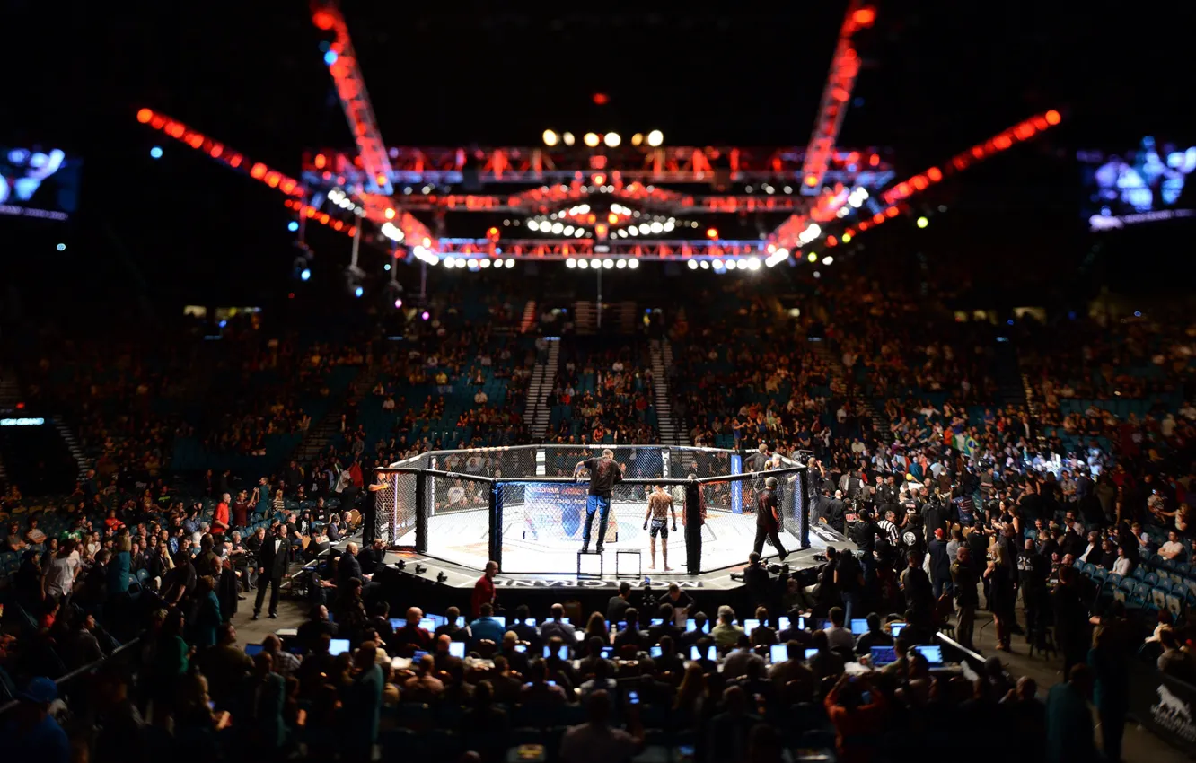 Photo wallpaper MMA, UFC, Cage
