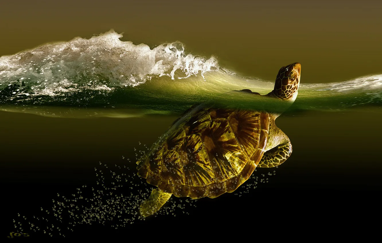 Photo wallpaper sea, wave, turtle