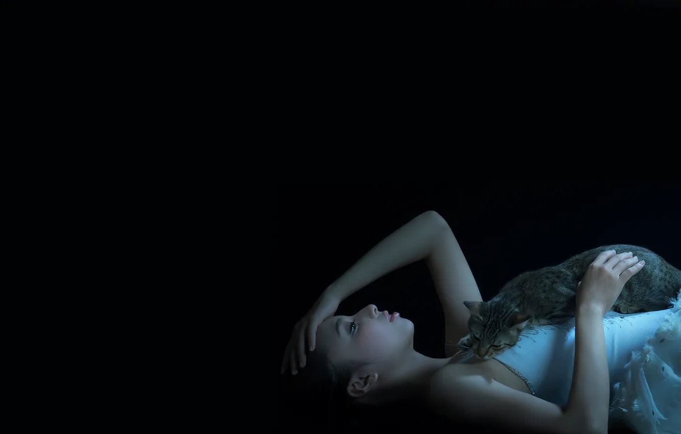 Photo wallpaper cat, girl, profile, the dark background