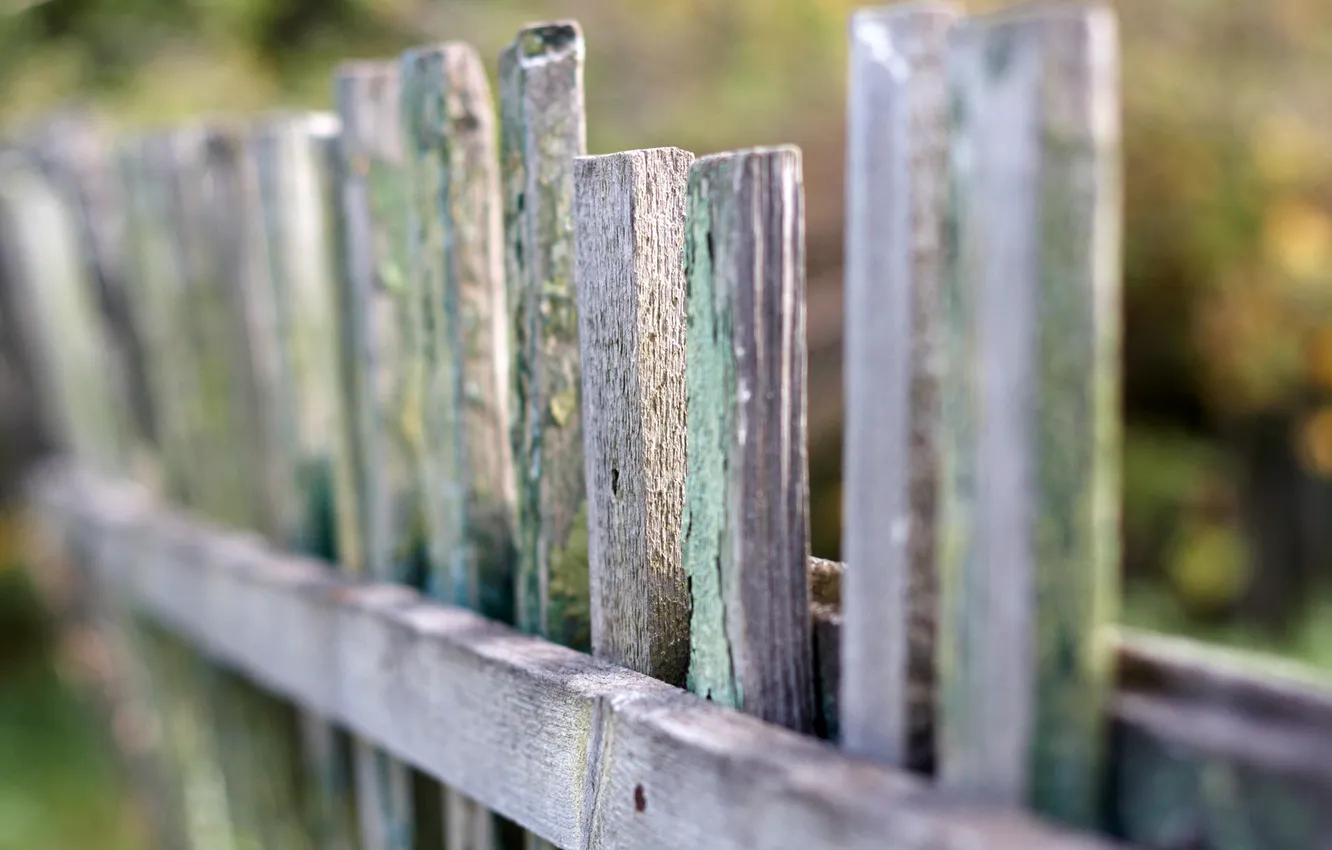 Photo wallpaper macro, mood, the fence, focus, photos, Wallpaper for desktop