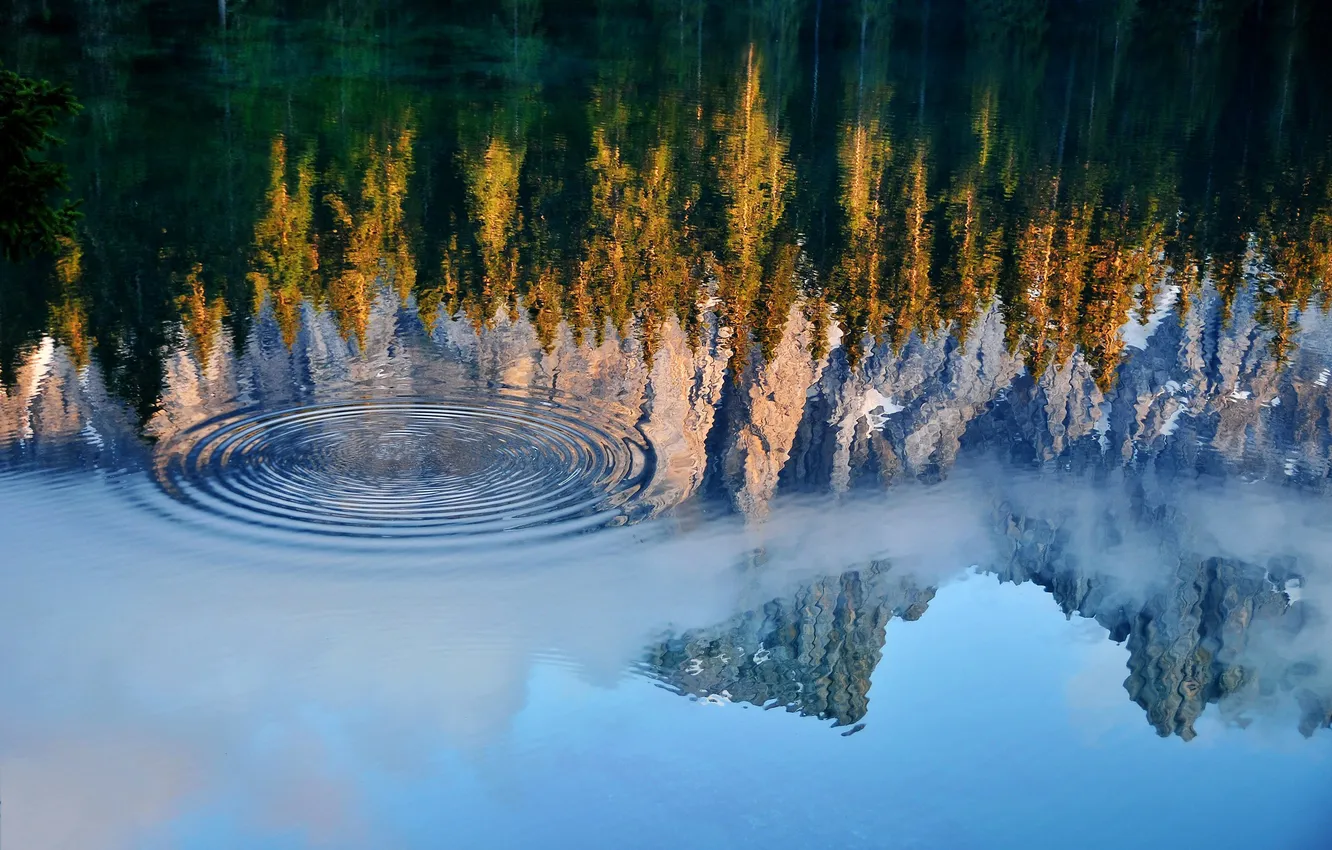 Photo wallpaper forest, water, trees, circles, mountains, lake, reflection, splash