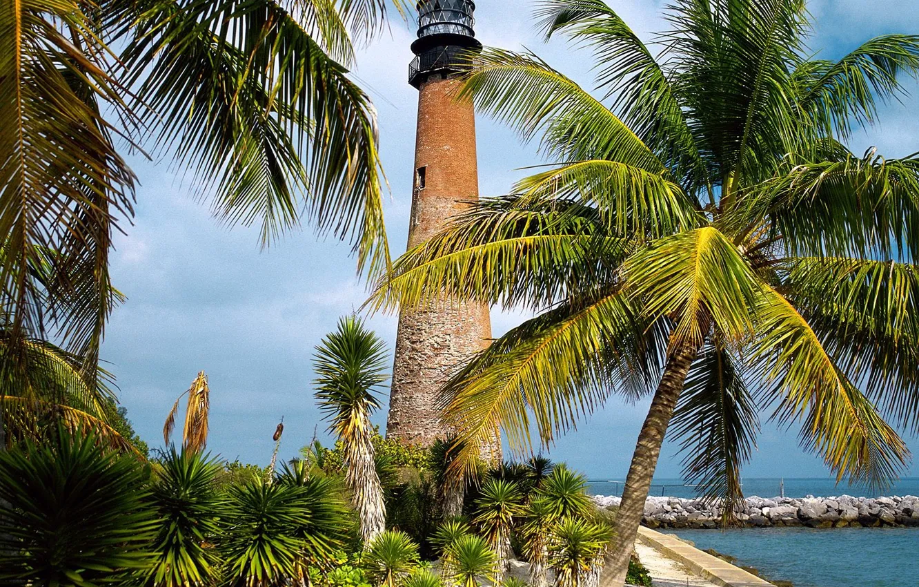 Photo wallpaper Lighthouse, FL, Palm trees