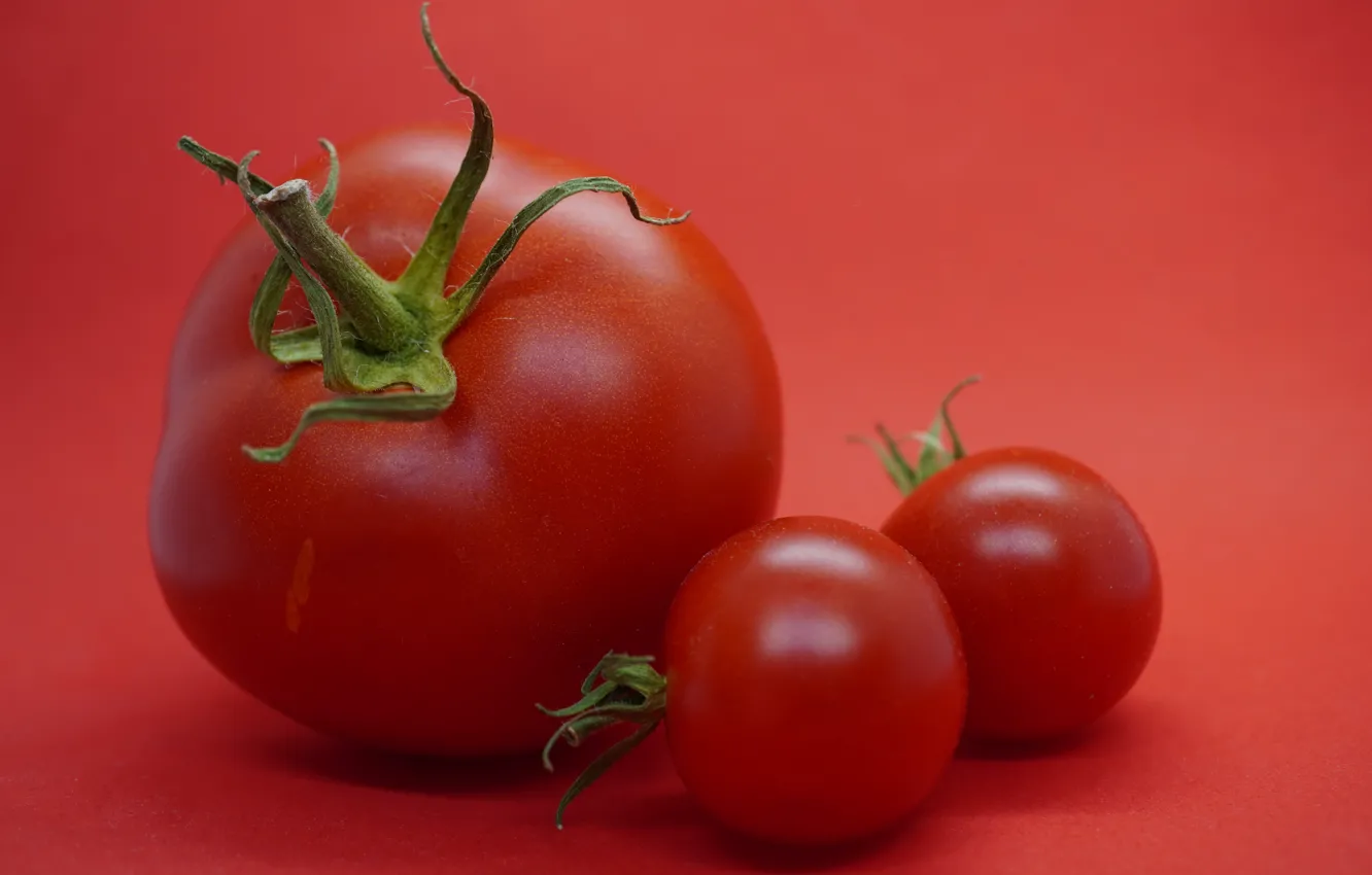 Photo wallpaper food, vegetables, tomatoes