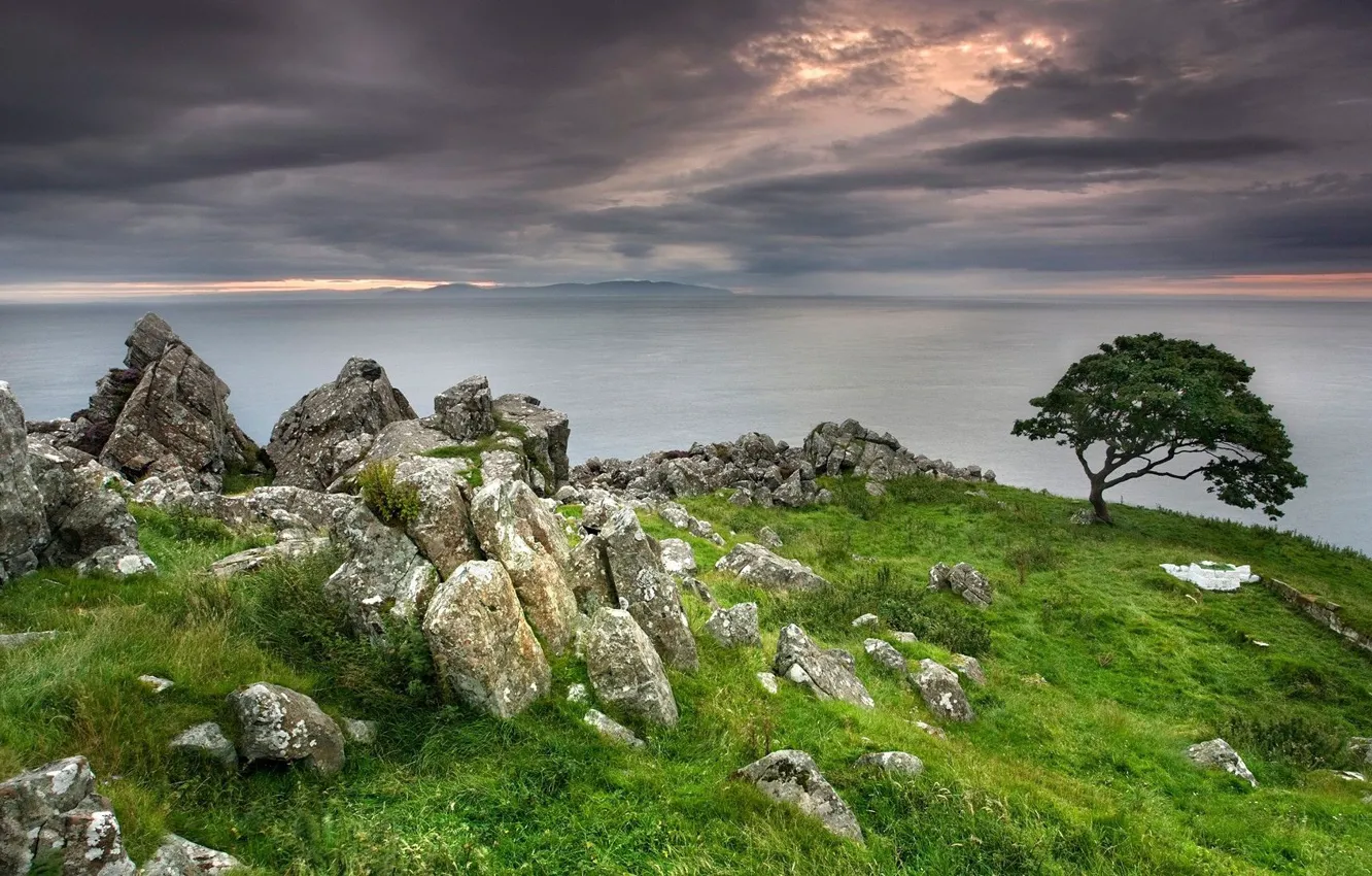 Photo wallpaper sea, the sky, grass, clouds, trees, clouds, nature, stones
