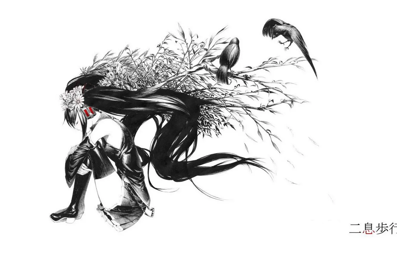 Photo wallpaper characters, white background, crows, vocaloid, hatsune miku, long hair, flower in hair, by Sawasawa