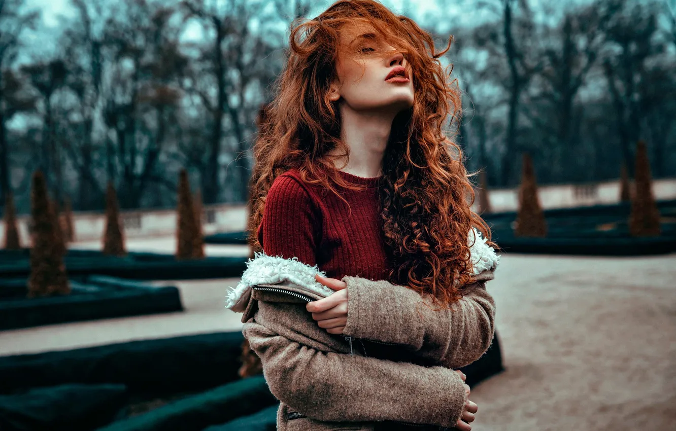 Photo wallpaper curls, sponge, redhead