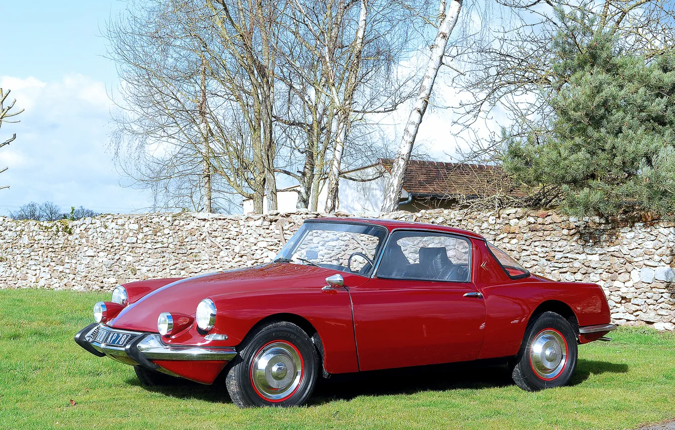 Photo wallpaper glade, the fence, Citroen, Coupe