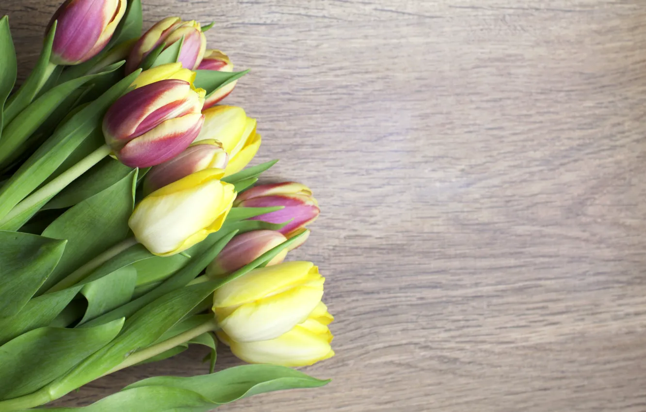 Photo wallpaper flowers, tulips, Board