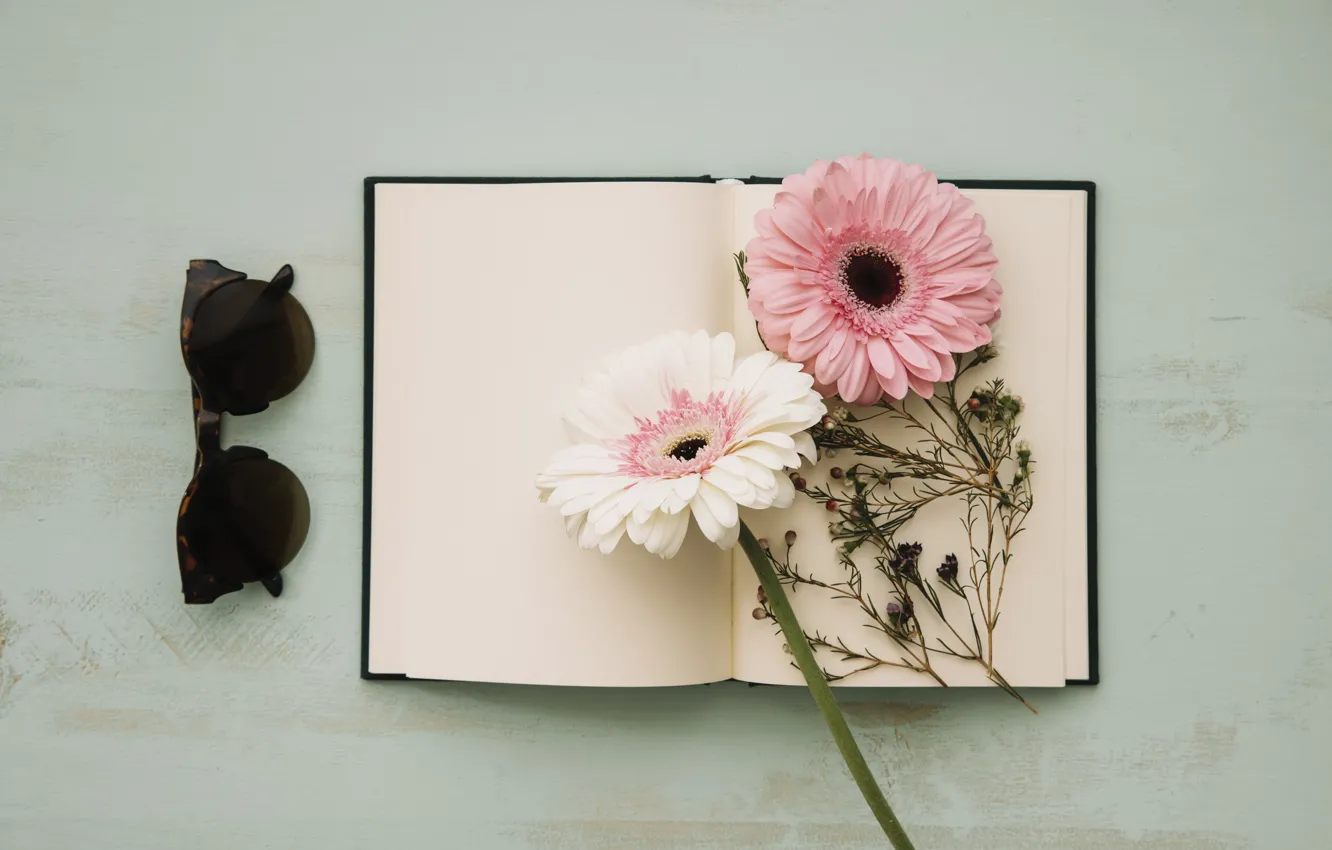Photo wallpaper glasses, Notepad, gerbera