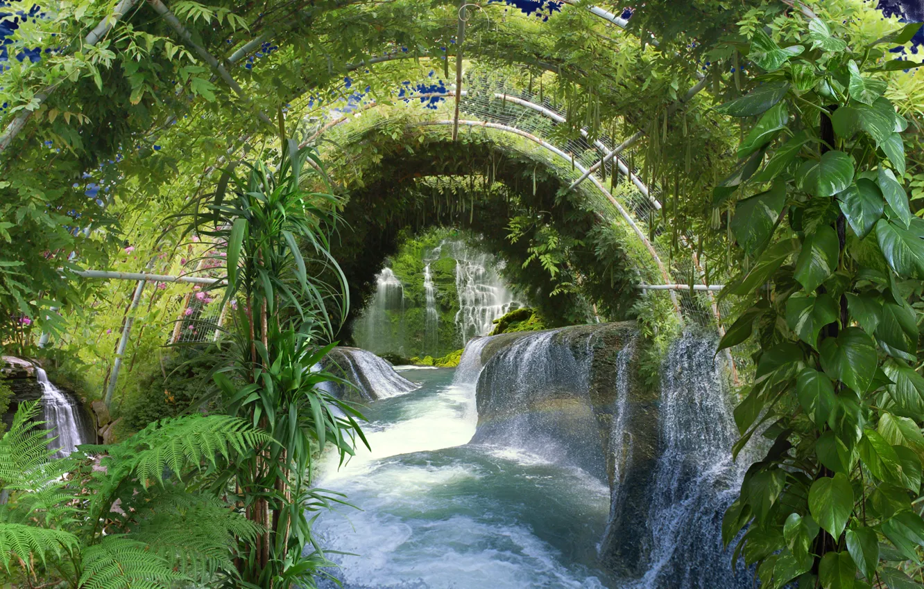 Photo wallpaper leaves, water, trees, flowers, Park, waterfall, stream, plants