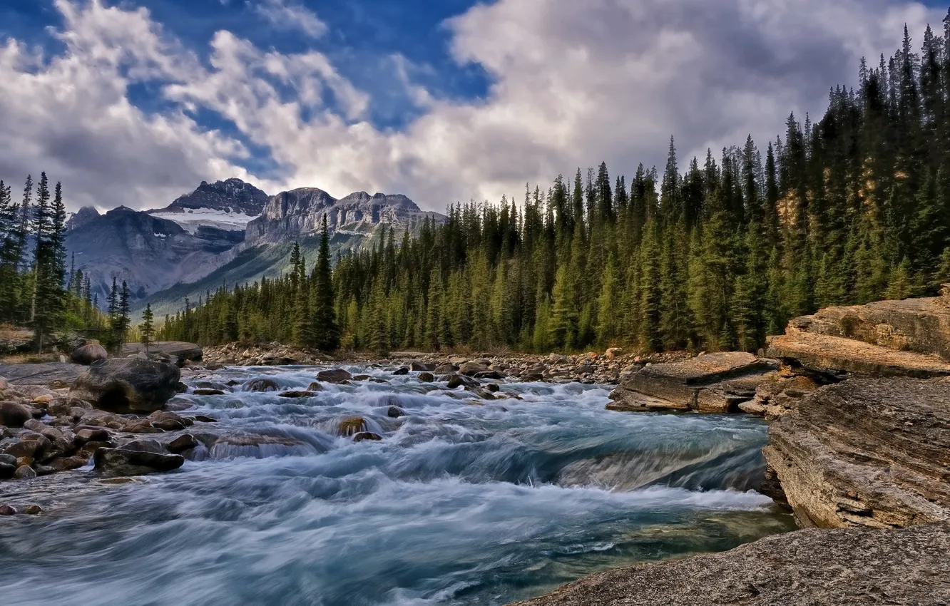 Photo wallpaper landscape, river, taiga