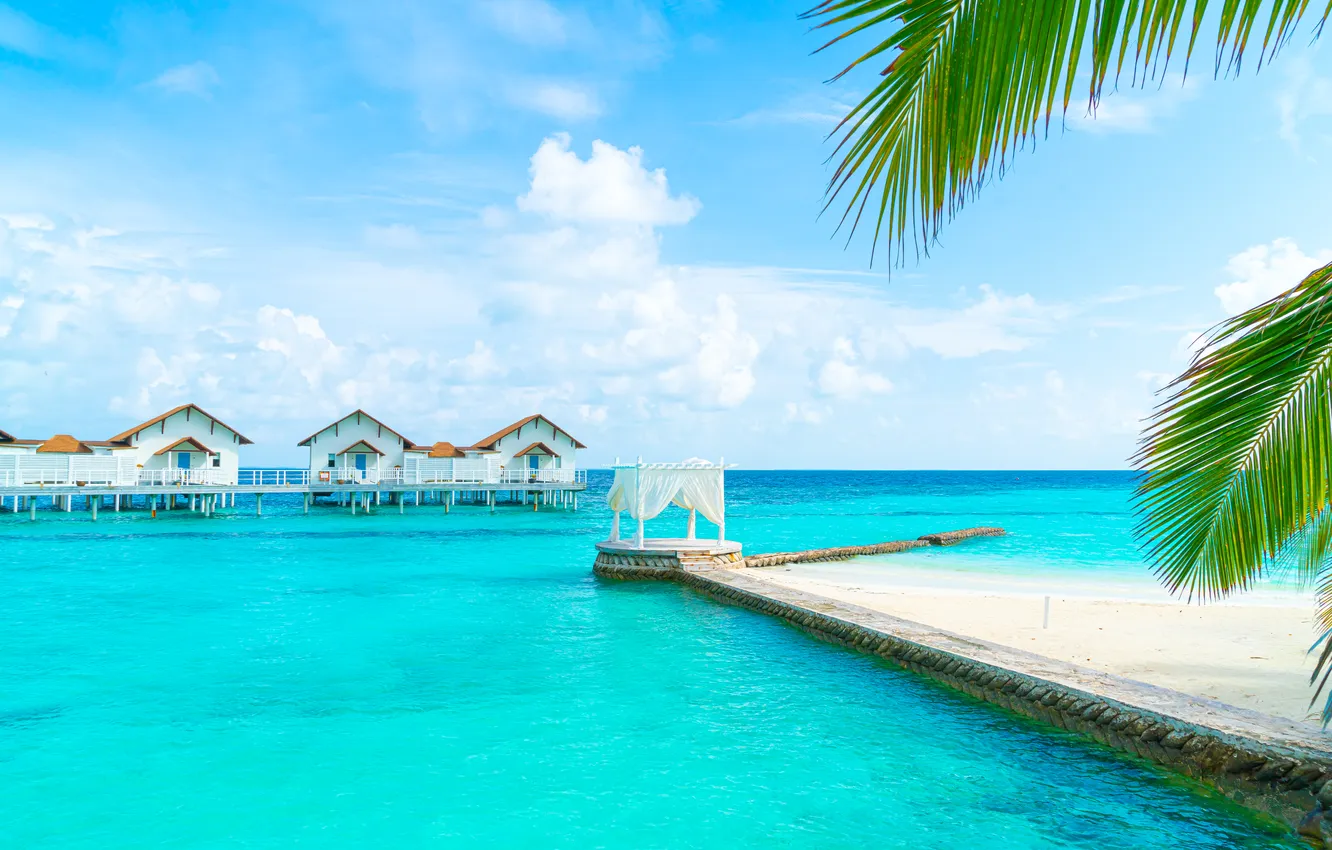 Photo wallpaper sand, sea, beach, summer, the sky, palm trees, summer, beach