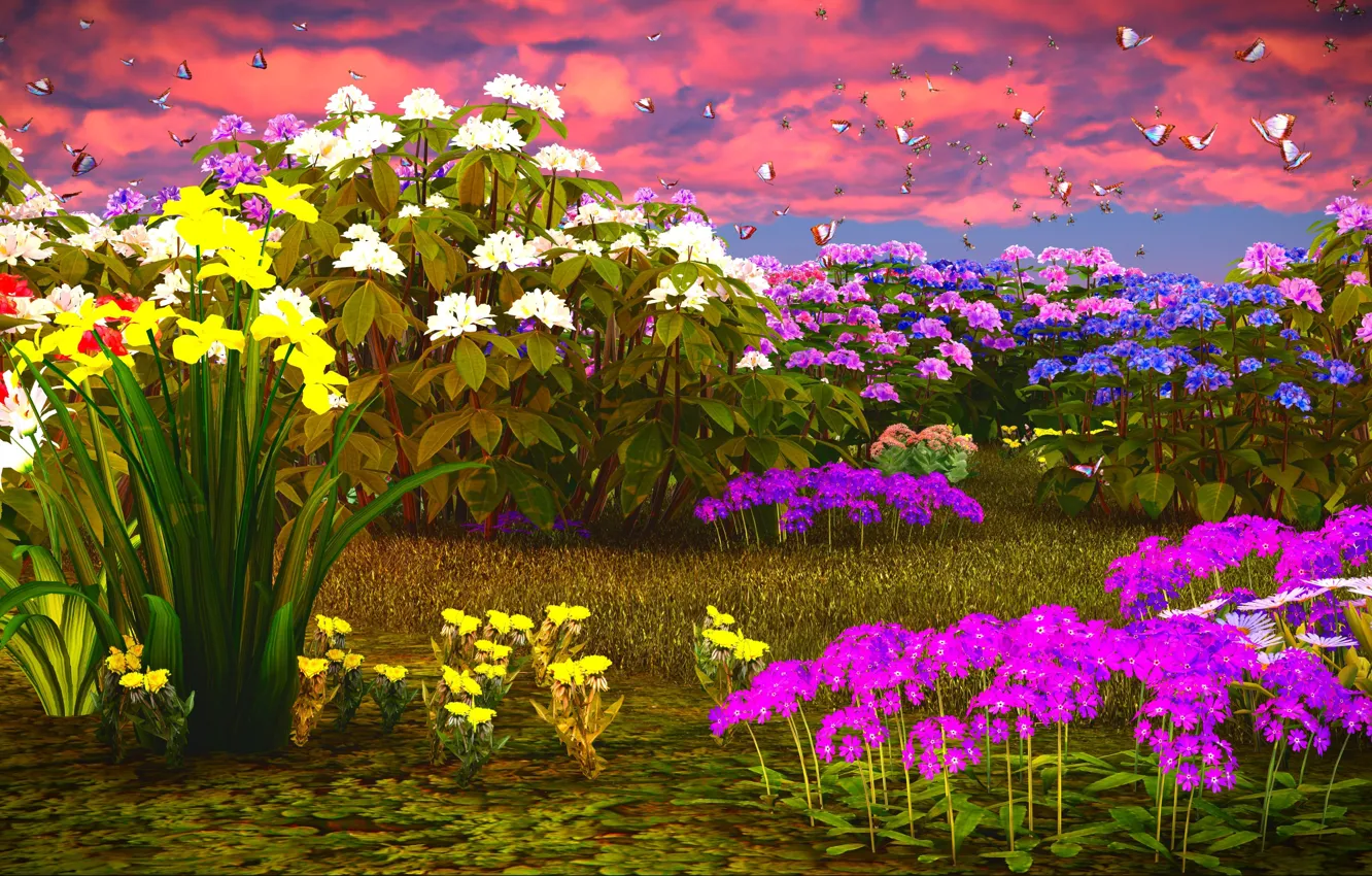 Photo wallpaper the sky, grass, clouds, butterfly, flowers, daffodils, Phlox