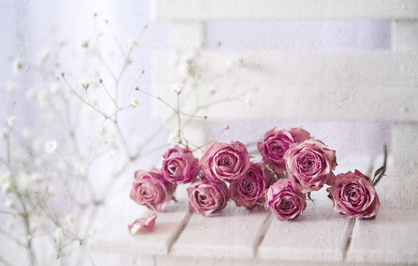 Photo wallpaper light, flowers, sprig, table, Board, roses, treatment, bouquet